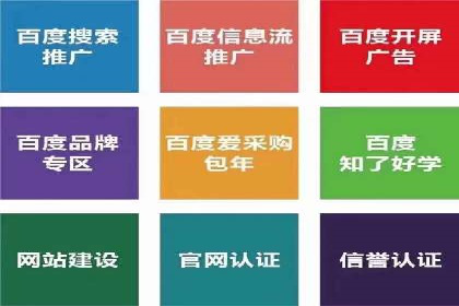 竞价广告如何助力XX企业实现业绩增长